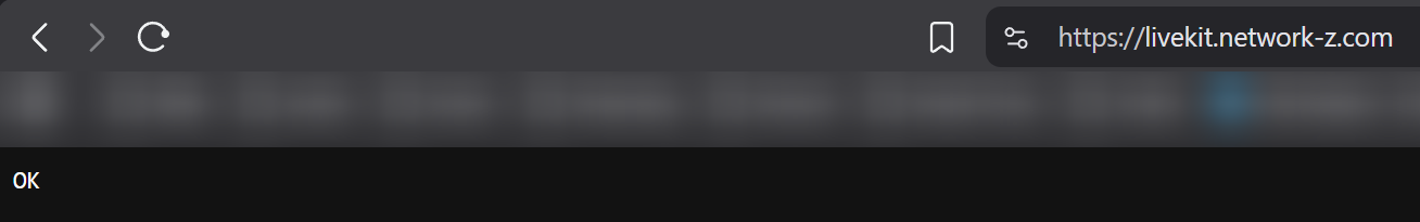 image-20251108182904477