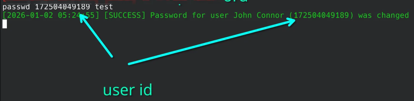 image-20260103094048622